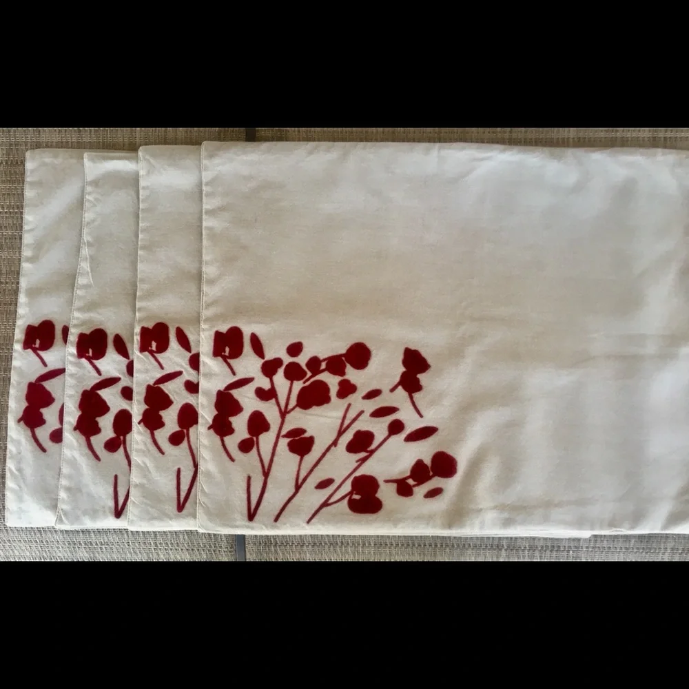 Pier 1 Set of 4 Placemats